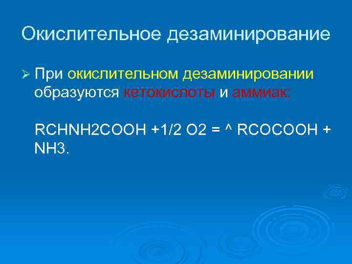 Окислительное дезаминирование Ø При окислительном дезаминировании образуются кетокислоты и аммиак: RCHNH 2 COOH +1/2