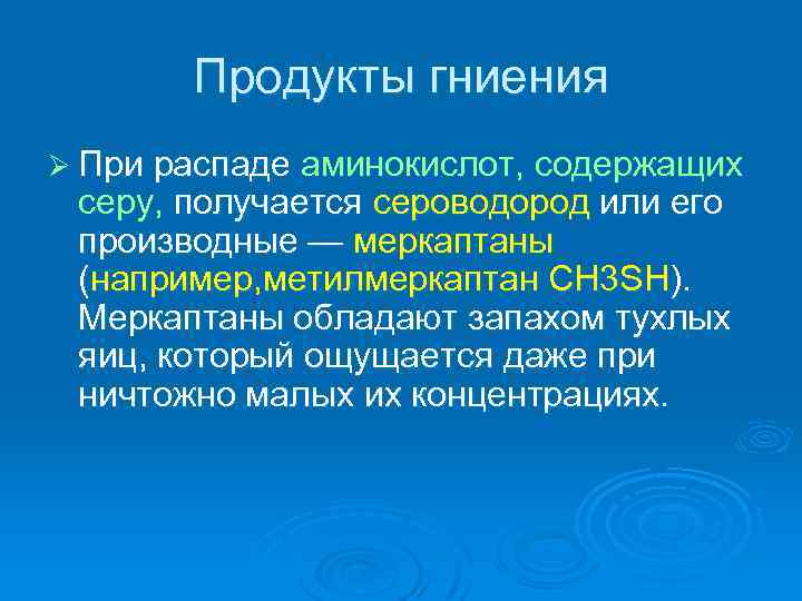 Продукты гниения Ø При распаде аминокислот, содержащих серу, получается сероводород или его производные —