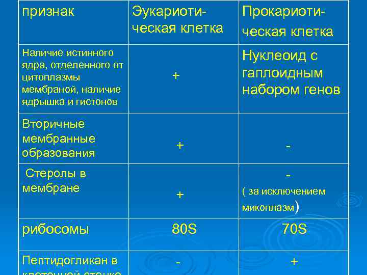 признак Наличие истинного ядра, отделенного от цитоплазмы мембраной, наличие ядрышка и гистонов Вторичные мембранные