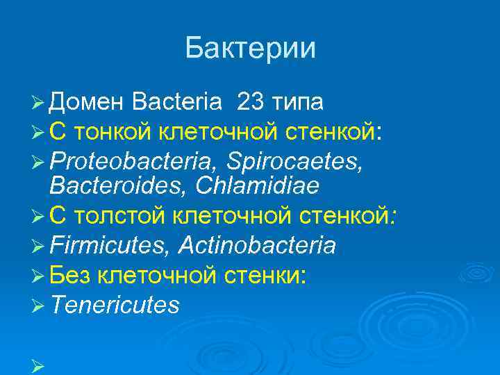 Бактерии Ø Домен Bacteria 23 типа Ø С тонкой клеточной стенкой: Ø Proteobacteria, Spirocaetes,