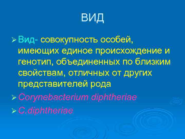 ВИД Ø Вид- совокупность особей, имеющих единое происхождение и генотип, объединенных по близким свойствам,