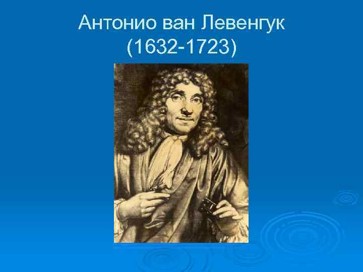 Антонио ван Левенгук (1632 -1723) 