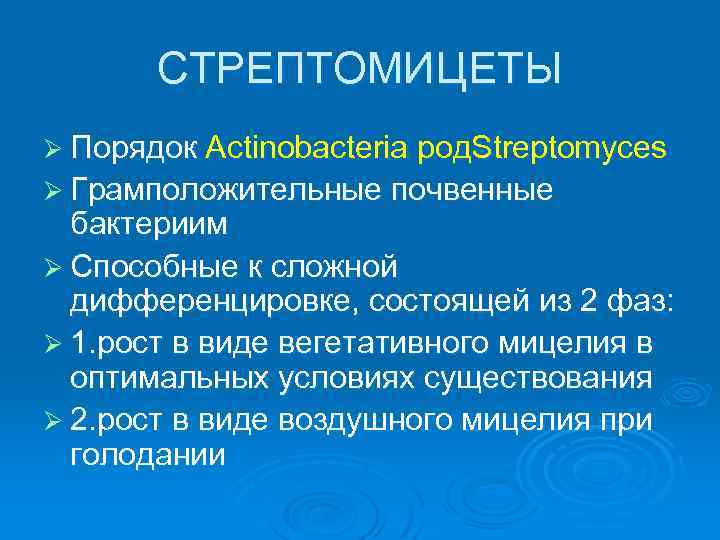 СТРЕПТОМИЦЕТЫ Ø Порядок Actinobacteria род. Streptomyces Ø Грамположительные почвенные бактериим Ø Способные к сложной