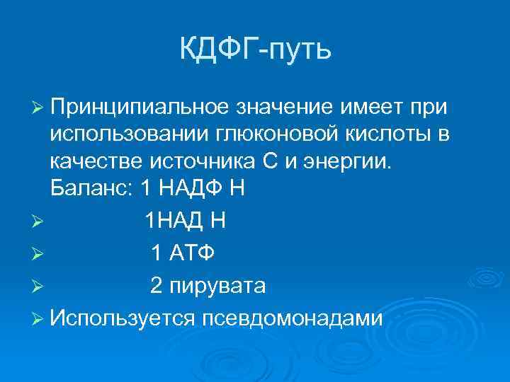 КДФГ-путь Ø Принципиальное значение имеет при использовании глюконовой кислоты в качестве источника С и