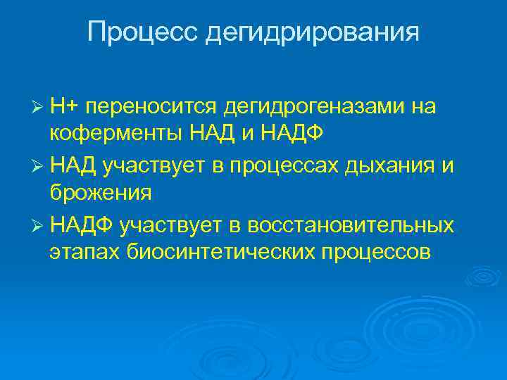 Процесс дегидрирования Ø Н+ переносится дегидрогеназами на коферменты НАД и НАДФ Ø НАД участвует