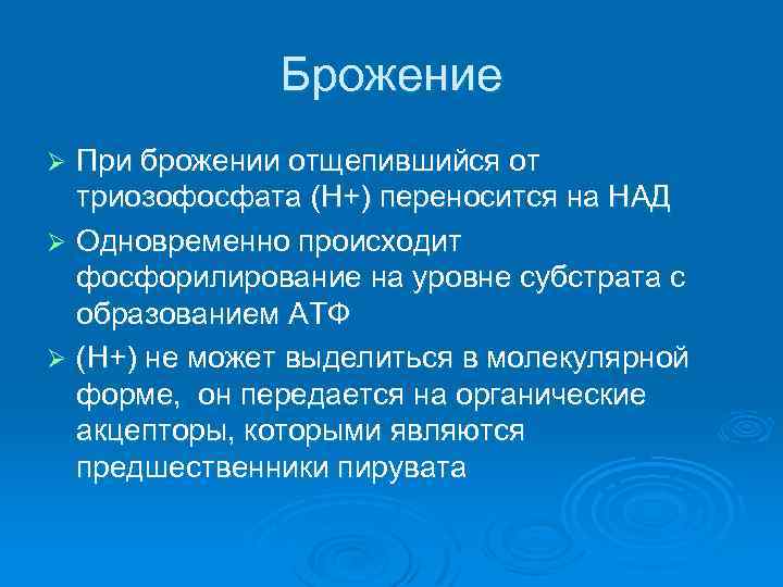 Брожение При брожении отщепившийся от триозофосфата (Н+) переносится на НАД Ø Одновременно происходит фосфорилирование