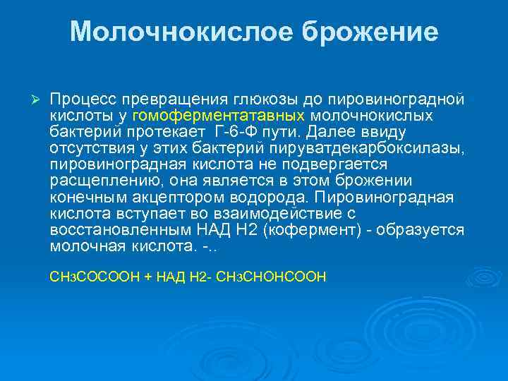 Молочнокислое брожение Ø Процесс превращения глюкозы до пировиноградной кислоты у гомоферментатавных молочнокислых бактерий протекает