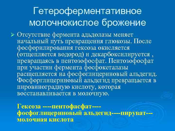 Гетероферментативное молочнокислое брожение Ø Отсутствие фермента адьдолазы меняет начальный путь превращения глюкозы. После фосфорилирования