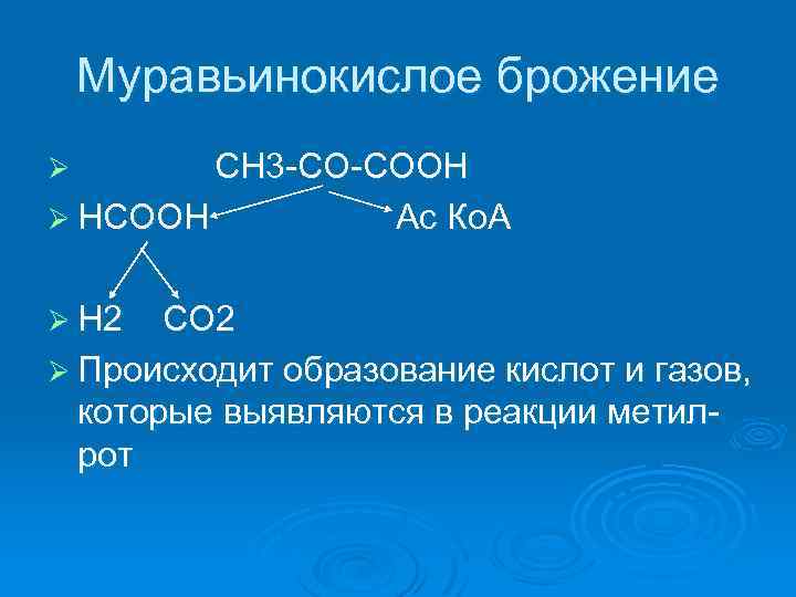 Муравьинокислое брожение СН 3 -СО-СООН Ø НСООН Ас Ко. А Ø Ø Н 2