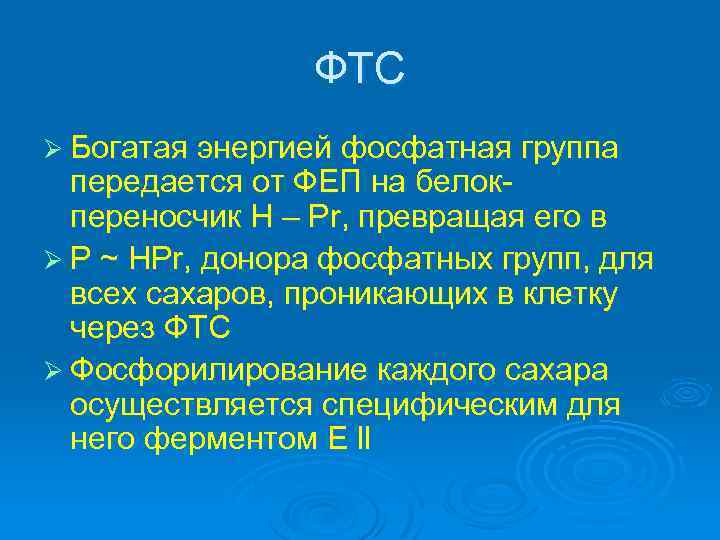 ФТС Ø Богатая энергией фосфатная группа передается от ФЕП на белокпереносчик H – Pr,