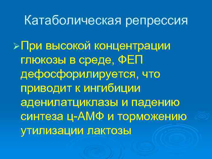 Катаболическая репрессия Ø При высокой концентрации глюкозы в среде, ФЕП дефосфорилируется, что приводит к