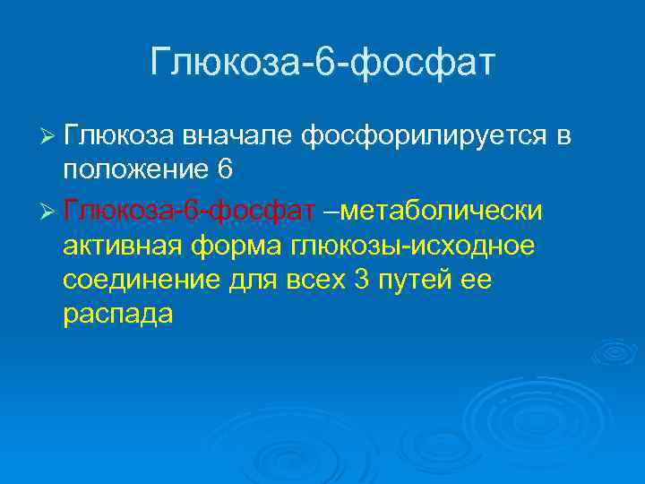 Глюкоза-6 -фосфат Ø Глюкоза вначале фосфорилируется в положение 6 Ø Глюкоза-6 -фосфат –метаболически активная