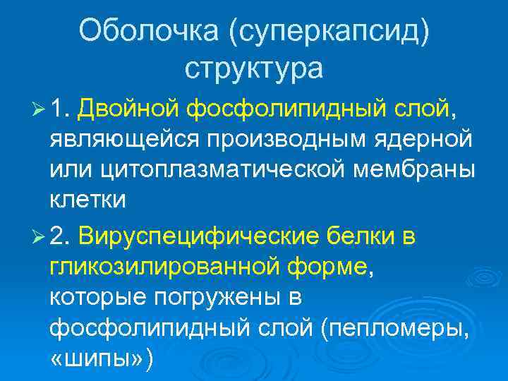 Оболочка (суперкапсид) структура Ø 1. Двойной фосфолипидный слой, являющейся производным ядерной или цитоплазматической мембраны