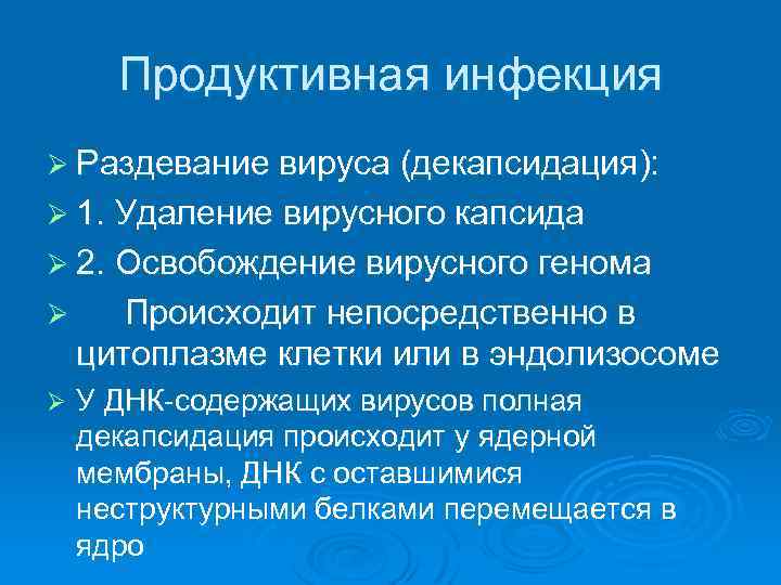 Продуктивная инфекция Ø Раздевание вируса (декапсидация): Ø 1. Удаление вирусного капсида Ø 2. Освобождение