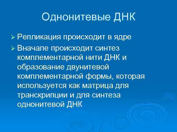 Однонитевые ДНК Ø Репликация происходит в ядре Ø Вначале происходит синтез комплементарной нити ДНК