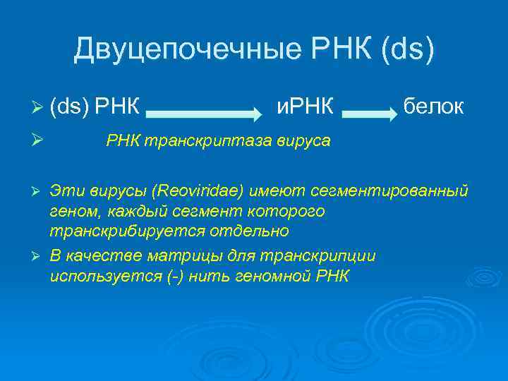 Двуцепочечные РНК (ds) Ø (ds) РНК Ø и. РНК белок РНК транскриптаза вируса Эти