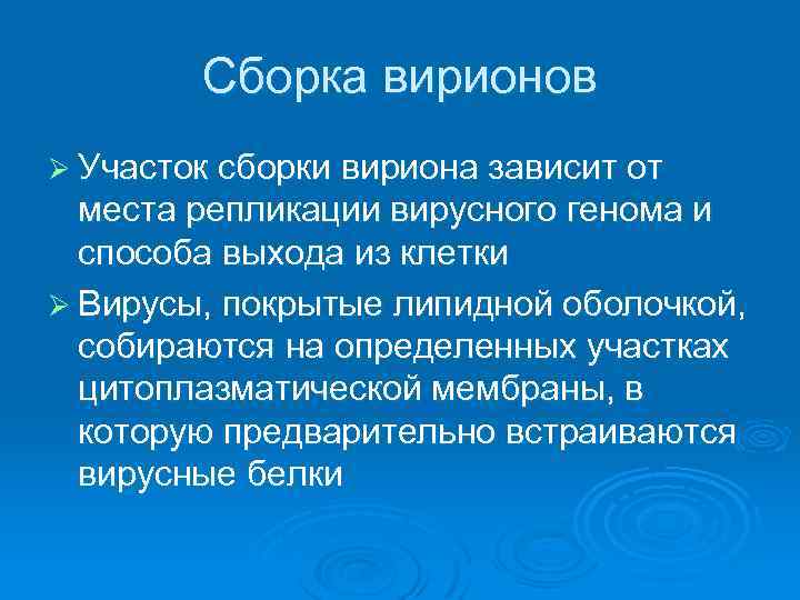 Сборка вирионов Ø Участок сборки вириона зависит от места репликации вирусного генома и способа