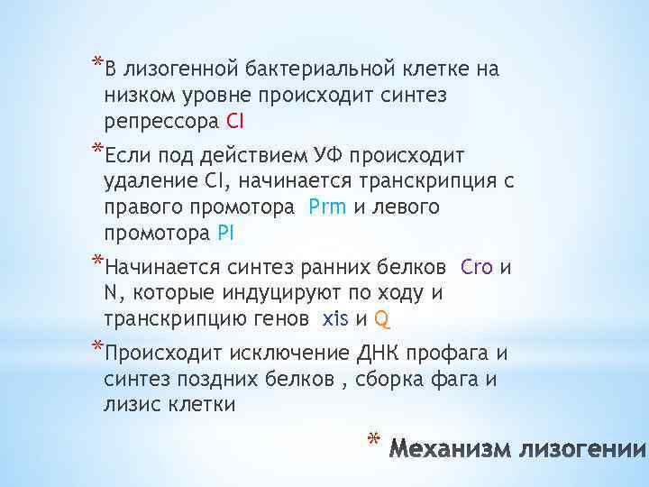 *В лизогенной бактериальной клетке на низком уровне происходит синтез репрессора СI *Если под действием