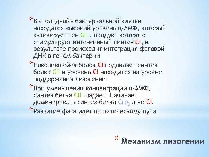 *В «голодной» бактериальной клетке находится высокий уровень ц-АМФ, который активирует ген СII , продукт