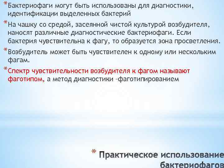*Бактериофаги могут быть использованы для диагностики, идентификации выделенных бактерий *На чашку со средой, засеянной