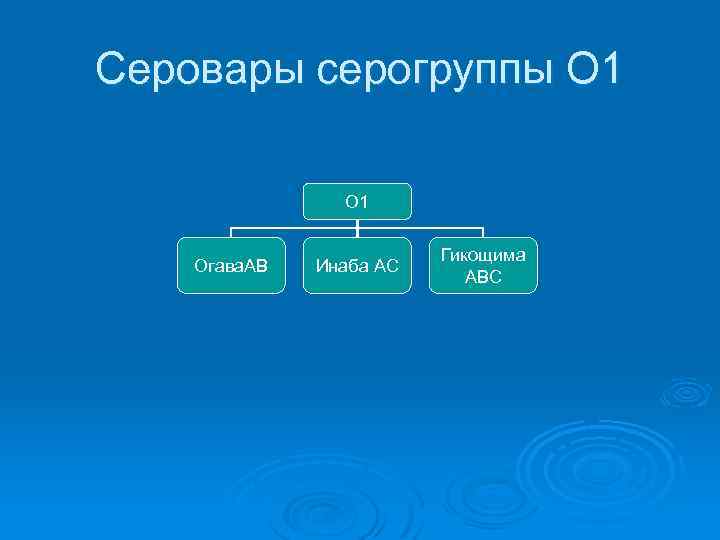 Серовары серогруппы О 1 Огава. АВ Инаба АС Гикощима АВС 