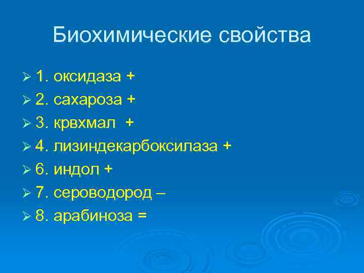 Биохимические свойства Ø 1. оксидаза + Ø 2. сахароза + Ø 3. крвхмал +