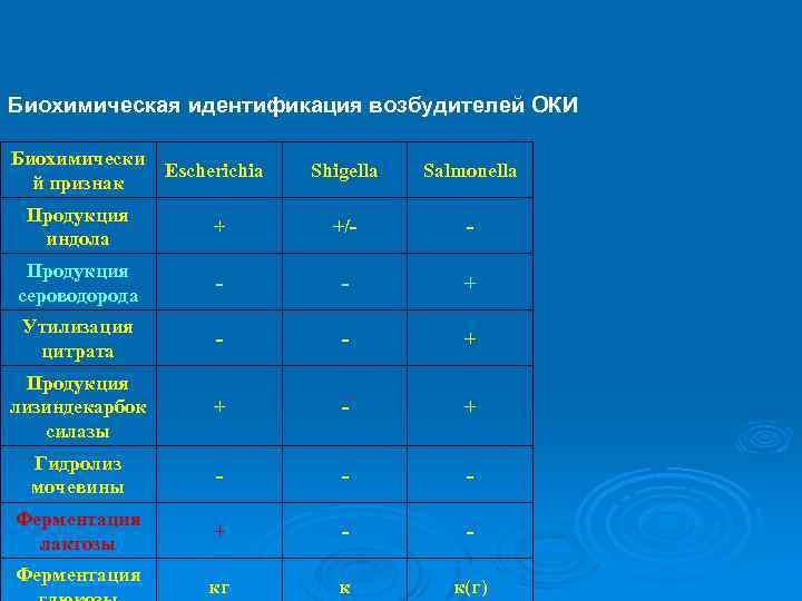 Биохимическая идентификация возбудителей ОКИ Биохимически Escherichia й признак Shigella Salmonella Продукция индола + +/-