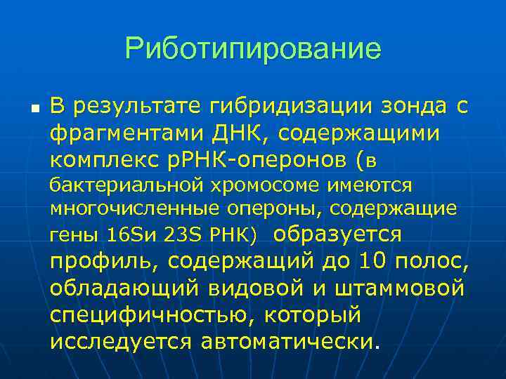 Риботипирование n В результате гибридизации зонда с фрагментами ДНК, содержащими комплекс р. РНК-оперонов (в