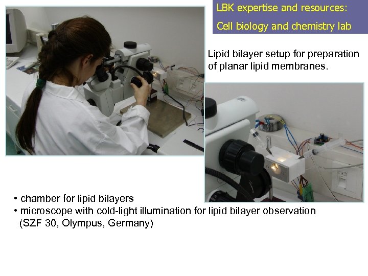 LBK expertise and resources: Cell biology and chemistry lab Lipid bilayer setup for preparation