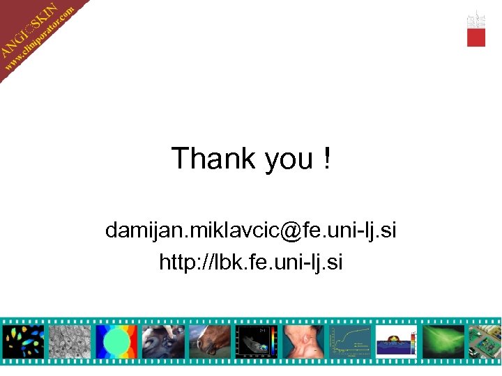 Thank you ! damijan. miklavcic@fe. uni-lj. si http: //lbk. fe. uni-lj. si 