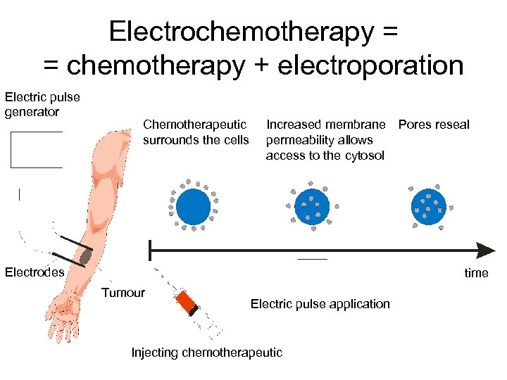 Electrochemotherapy = = chemotherapy + electroporation Electric pulse generator Chemotherapeutic surrounds the cells Increased