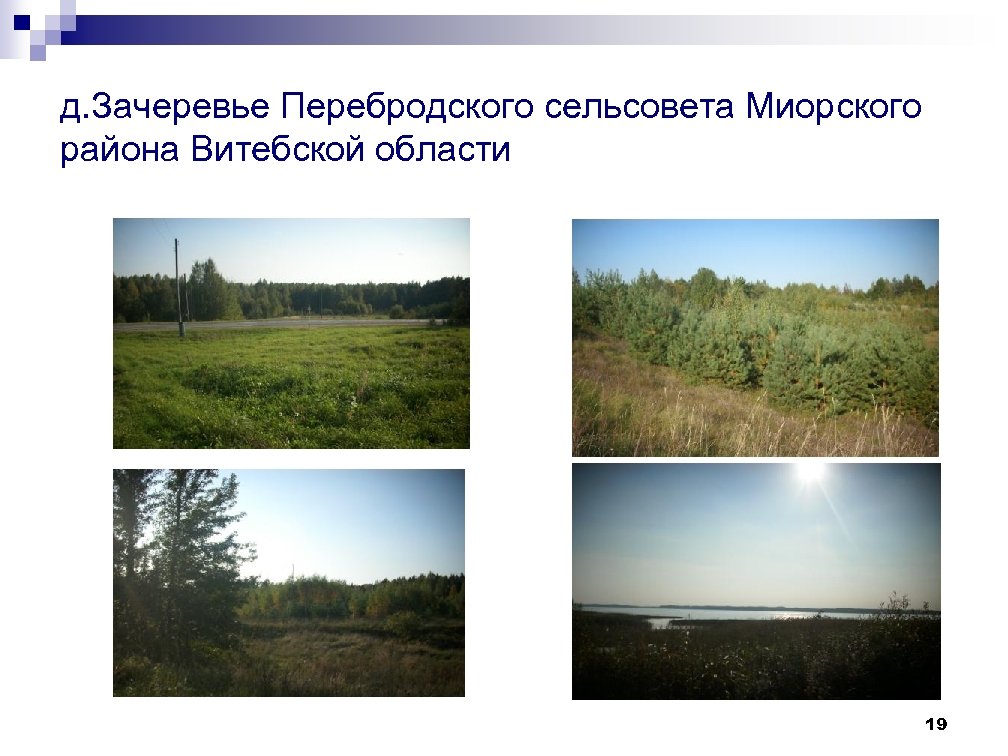 д. Зачеревье Перебродского сельсовета Миорского района Витебской области 19 