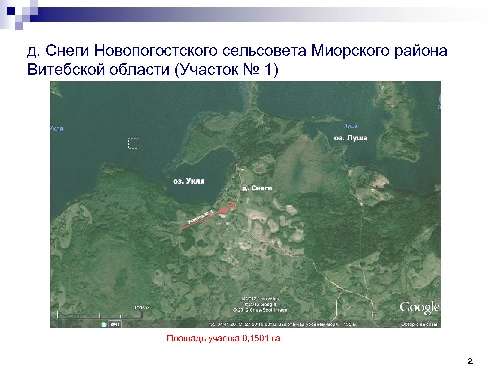 д. Снеги Новопогостского сельсовета Миорского района Витебской области (Участок № 1) Площадь участка 0,