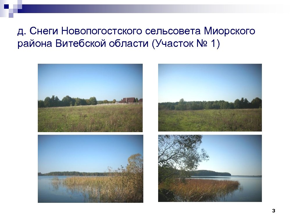 д. Снеги Новопогостского сельсовета Миорского района Витебской области (Участок № 1) 3 