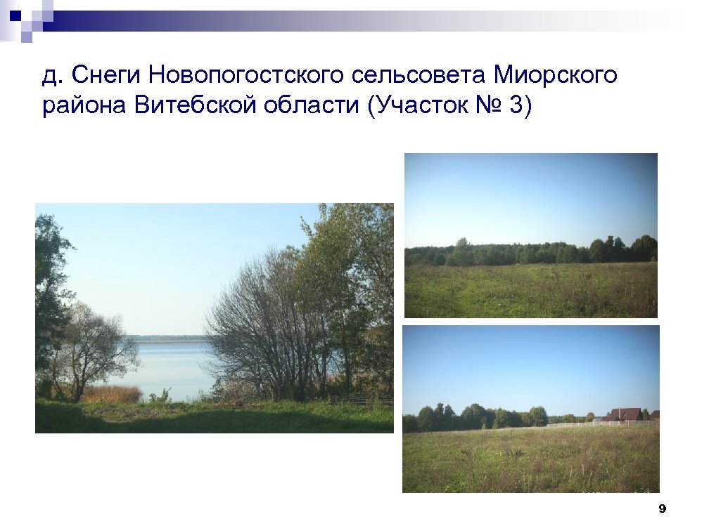д. Снеги Новопогостского сельсовета Миорского района Витебской области (Участок № 3) 9 