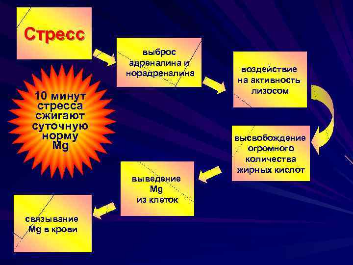 Стресс выброс адреналина и норадреналина 10 минут стресса сжигают суточную норму Mg выведение Mg