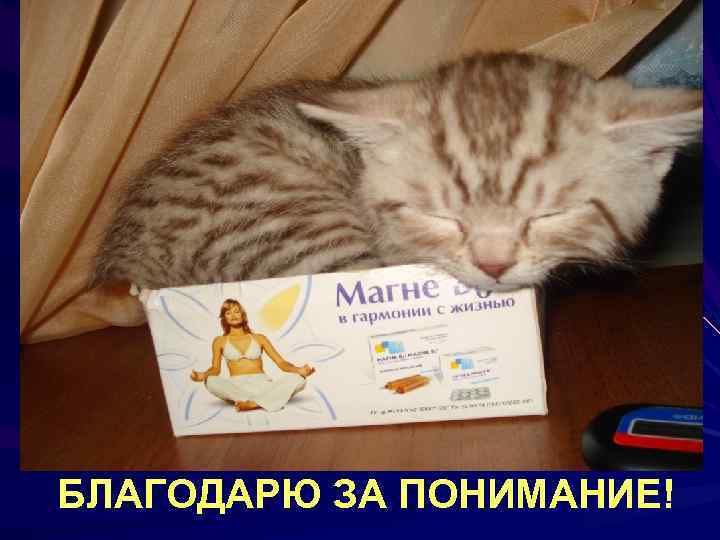 БЛАГОДАРЮ ЗА ПОНИМАНИЕ! 