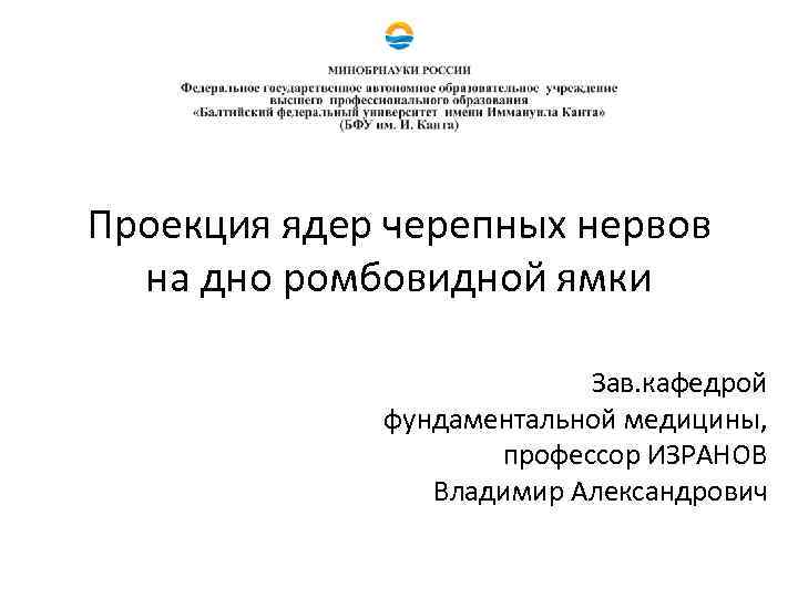 Проекция ядер черепных нервов на дно ромбовидной ямки Зав. кафедрой фундаментальной медицины, профессор ИЗРАНОВ
