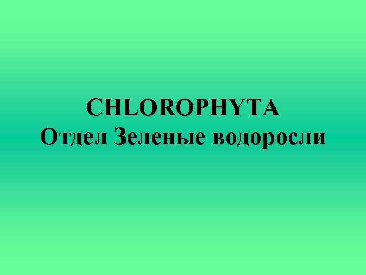 CHLOROPHYTA Отдел Зеленые водоросли 