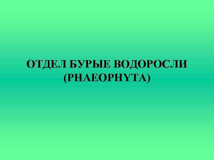 ОТДЕЛ БУРЫЕ ВОДОРОСЛИ (PHAEOPHYTA) 