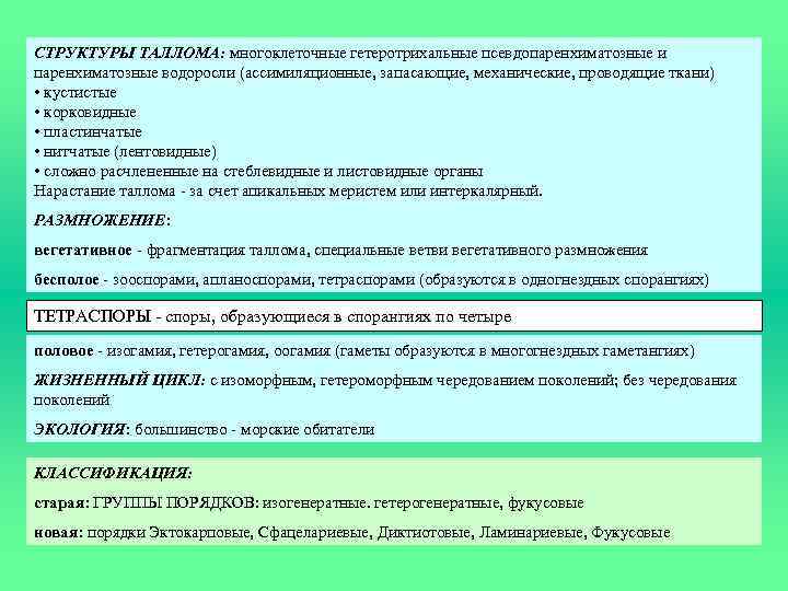 СТРУКТУРЫ ТАЛЛОМА: многоклеточные гетеротрихальные псевдопаренхиматозные и паренхиматозные водоросли (ассимиляционные, запасающие, механические, проводящие ткани) •