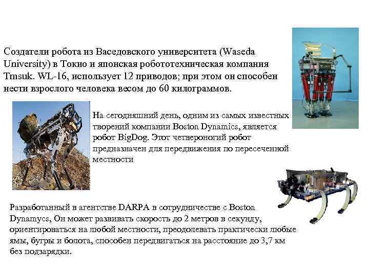 Создатели робота из Васедовского университета (Waseda University) в Токио и японская робототехническая компания Tmsuk.