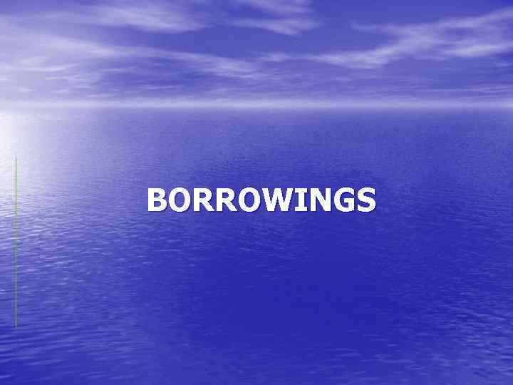 BORROWINGS 