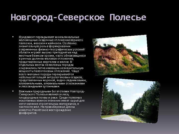 Новгород-Северское Полесье Фундамент перекрывают моноклинальные маломощные осадочные отложения верхнего палеозоя, мезозоя и кайнозоя. Особенно