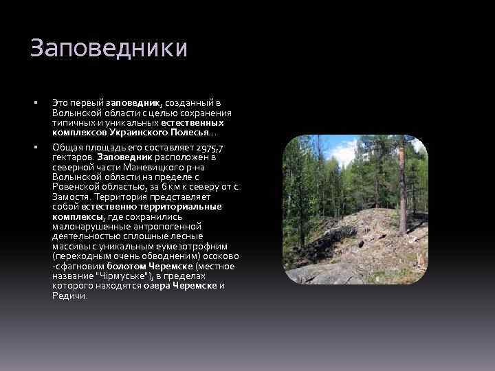 Заповедники Это первый заповедник, созданный в Волынской области с целью сохранения типичных и уникальных