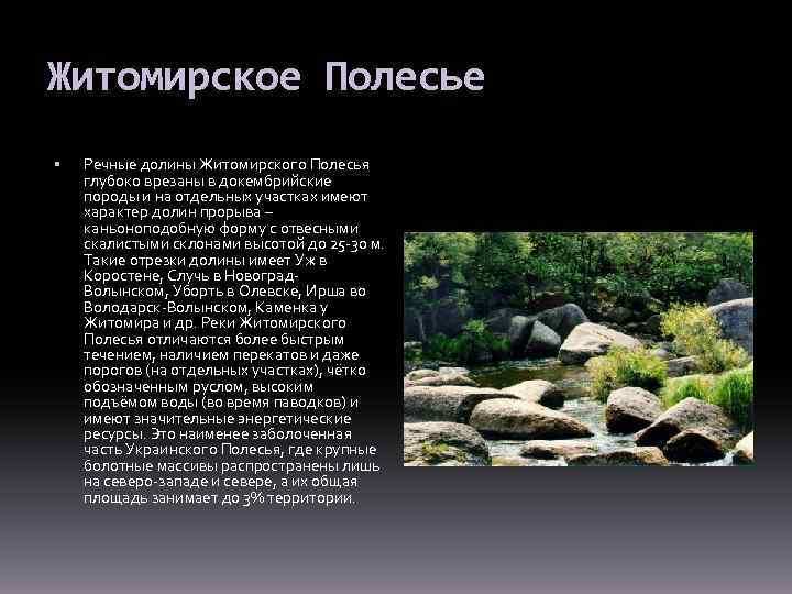 Житомирское Полесье Речные долины Житомирского Полесья глубоко врезаны в докембрийские породы и на отдельных