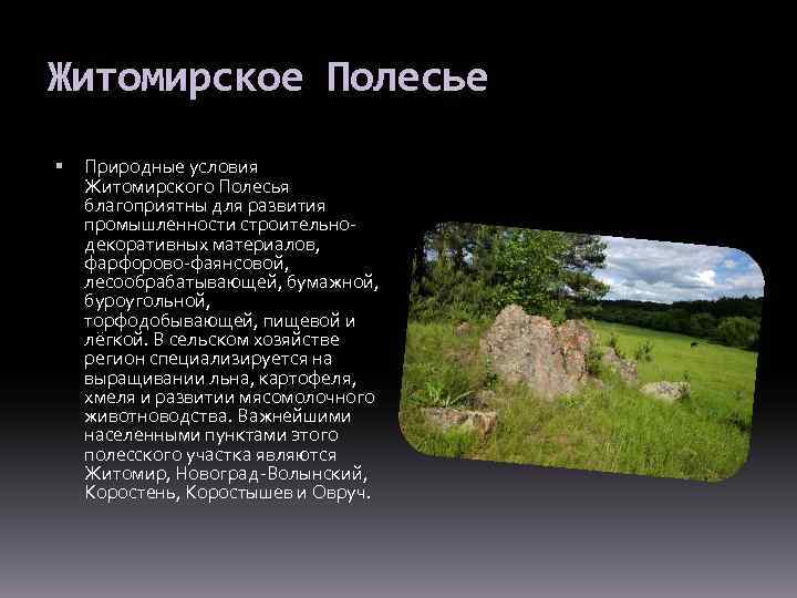 Житомирское Полесье Природные условия Житомирского Полесья благоприятны для развития промышленности строительнодекоративных материалов, фарфорово-фаянсовой, лесообрабатывающей,