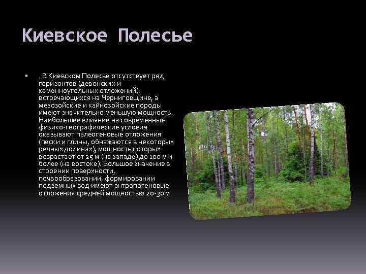 Киевское Полесье . В Киевском Полесье отсутствует ряд горизонтов (девонских и каменноугольных отложений), встречающихся