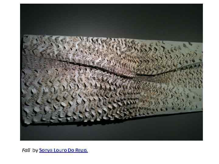 Fall by Sonya Louro Do Rego. 