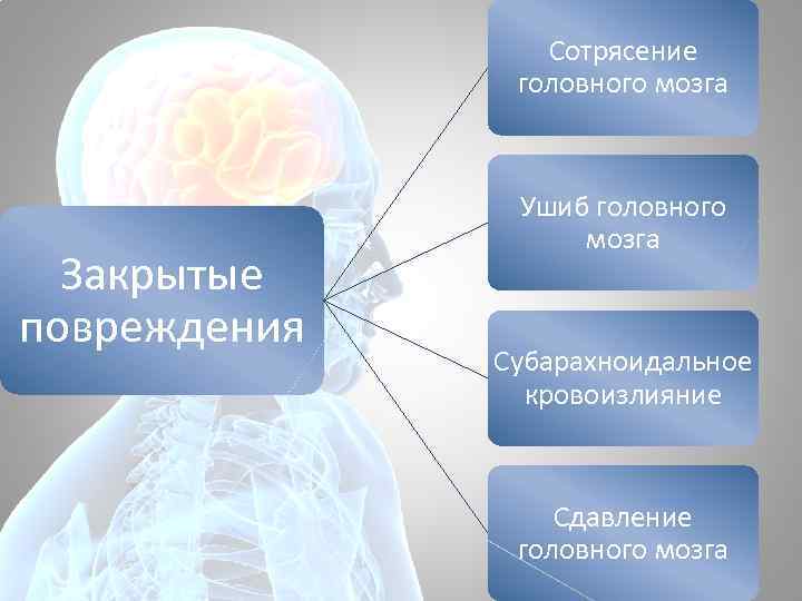 Сотрясение головного мозга Закрытые повреждения Ушиб головного мозга Субарахноидальное кровоизлияние Сдавление головного мозга 